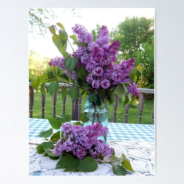 Spring Morning Poster