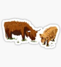 Highland Cow's Sticker