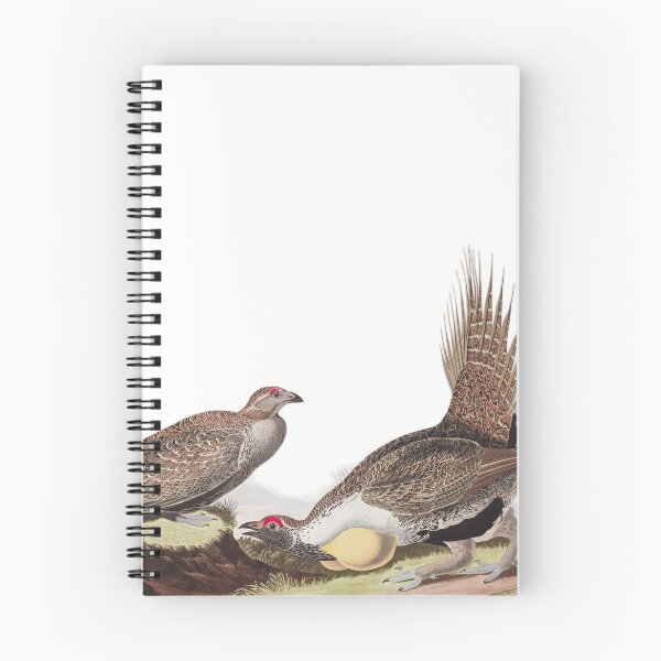 Item preview,  Greater Sage-Grouse - John James Audubon designed and sold by billythekidtees.