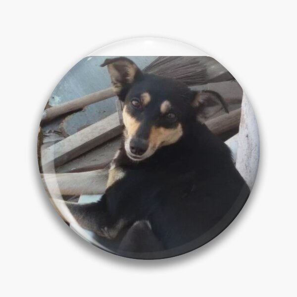 Item preview, DOG ​​IN FUNNY SITUATION designed and sold by MURILO RAY.