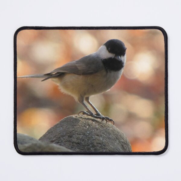 Item preview, Carolina Chickadee On Rock designed and sold by Jean Gregory Evans.