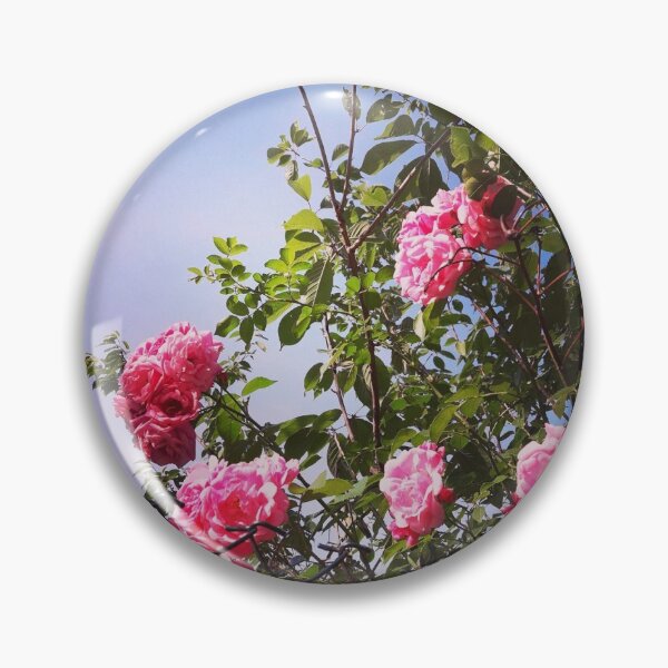 Item preview, Dreamy Nostalgic Roses Photo designed and sold by KaterynaAndArt.