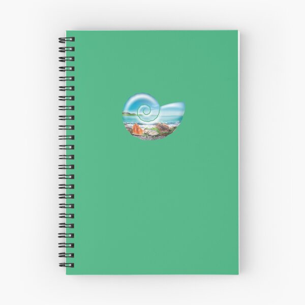 Item preview, Starfish Conch Sticker designed and sold by PAYSD.