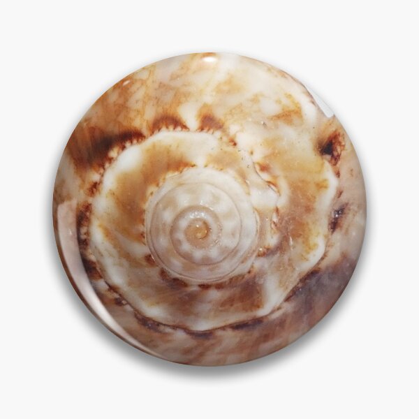 Item preview, Seashell, Golden Seashell designed and sold by Gota-30.