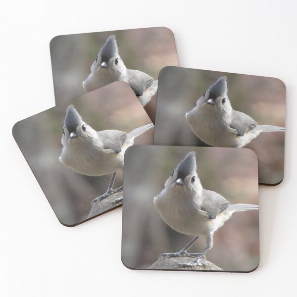 Item preview, A Fowl Plot Is Afoot designed and sold by Jean Gregory Evans.