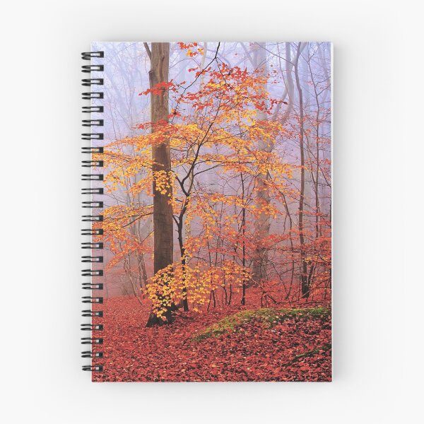 Item preview, Beech Forest. November. designed and sold by chuckirina.
