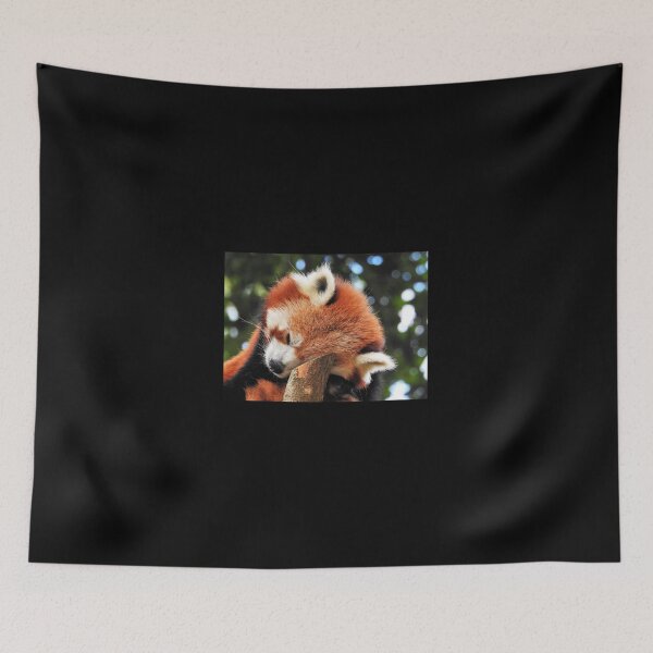 Item preview, Sleeping red panda designed and sold by StudioCorvid.