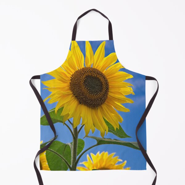 Item preview, Sunflower designed and sold by Martyn R Arnold Fine Art Nature & Landscape Photography.