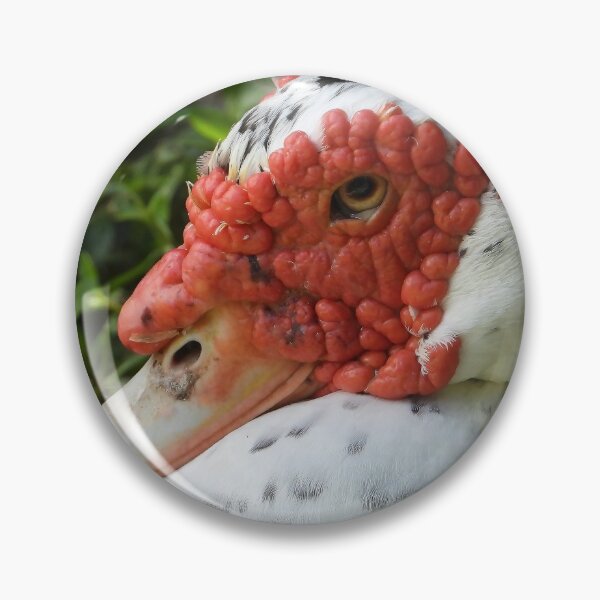 Item preview, Muscovy Duck #0001 designed and sold by Jeffrey Mask.
