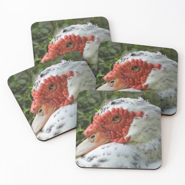 Item preview, Muscovy Duck #0001 designed and sold by Jeffrey Mask.