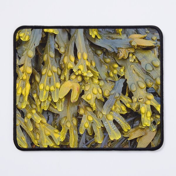 Item preview, Seaweed by Rebecca Adley designed and sold by RAdley21.