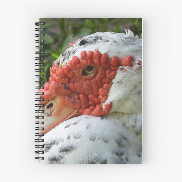 Item preview, Muscovy Duck #0001 designed and sold by Jeffrey Mask.