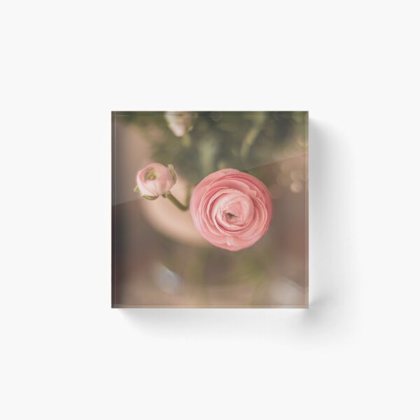 Item preview, Pastel pink flower | Pink Ranunculus | Floral photography designed and sold by ninasclicks.