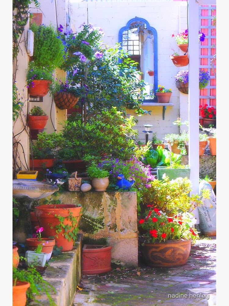 friends' garden by nhenley