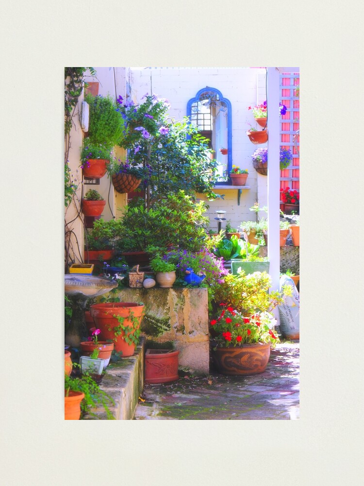 Alternate view of friends' garden Photographic Print