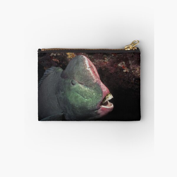Item preview, Bumphead Parrotfish designed and sold by Grey.