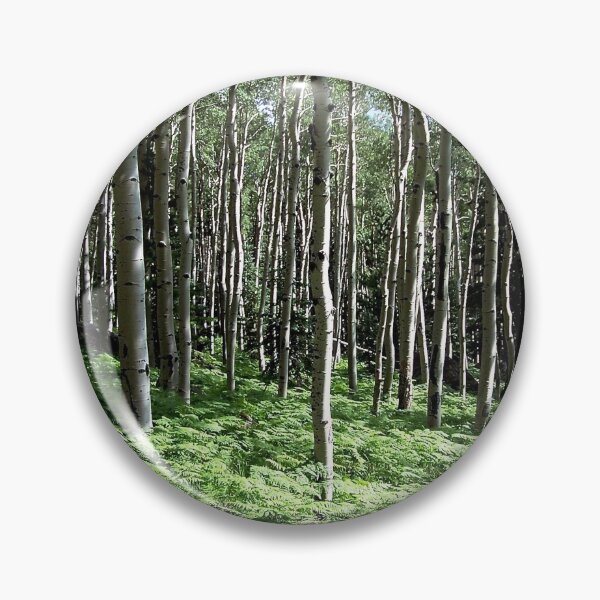 Artikelvorschau, Aspen Forest, Snow Bowl, Arizona entworfen und verkauft von Douglas E. Welch Design and Photography.