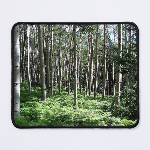 Item preview, Aspen Forest, Snow Bowl, Arizona designed and sold by Douglas E. Welch Design and Photography.