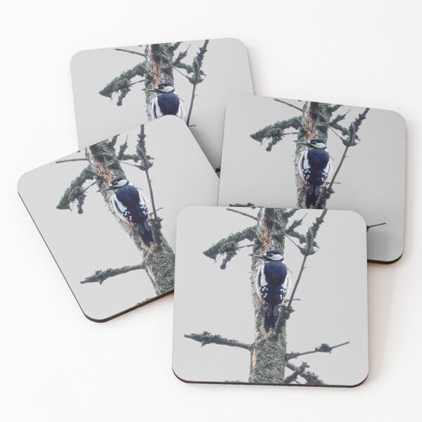 Item preview, High spot transparent. Great spotted woodpecker designed and sold by Jouko Lehto Photography.