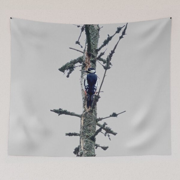 Item preview, High spot transparent. Great spotted woodpecker designed and sold by Jouko Lehto Photography.