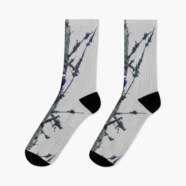 Item preview, High spot transparent. Great spotted woodpecker designed and sold by Jouko Lehto Photography.