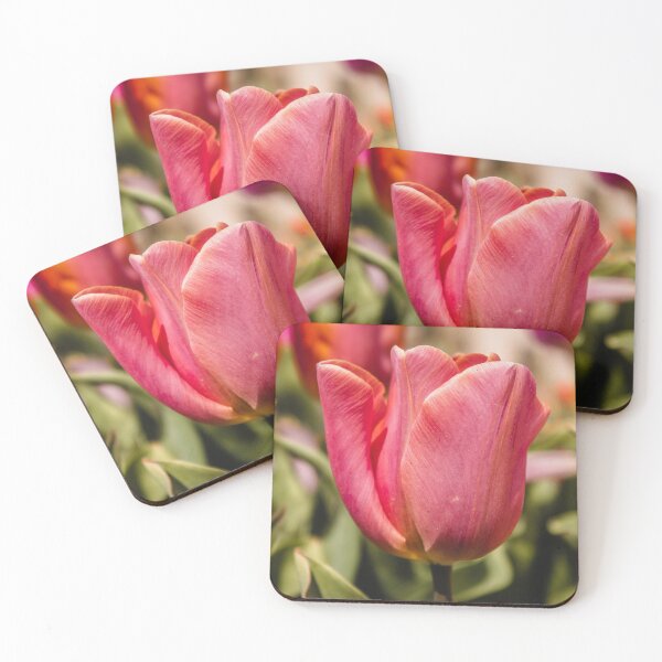 Item preview, Pink tulip in Amsterdam designed and sold by Anique van der Kuil.