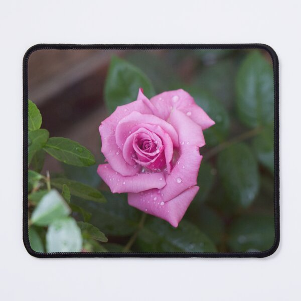 Item preview, Violet Flower - Rose designed and sold by Coczzi.