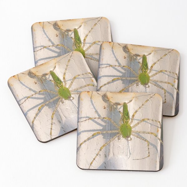 Item preview, Green Lynx Spider  designed and sold by SarahVGarrett.