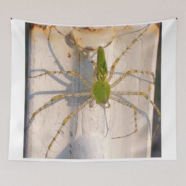 Item preview, Green Lynx Spider  designed and sold by SarahVGarrett.
