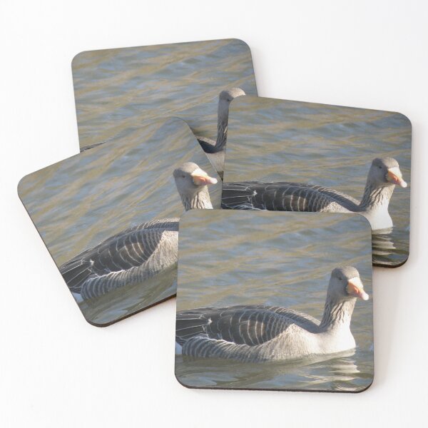 Item preview, Greylag Goose Swimming on the Lake Photograph designed and sold by naturegallery.