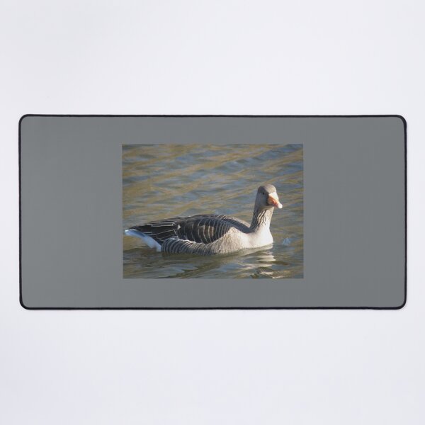 Item preview, Greylag Goose Swimming on the Lake Photograph designed and sold by naturegallery.