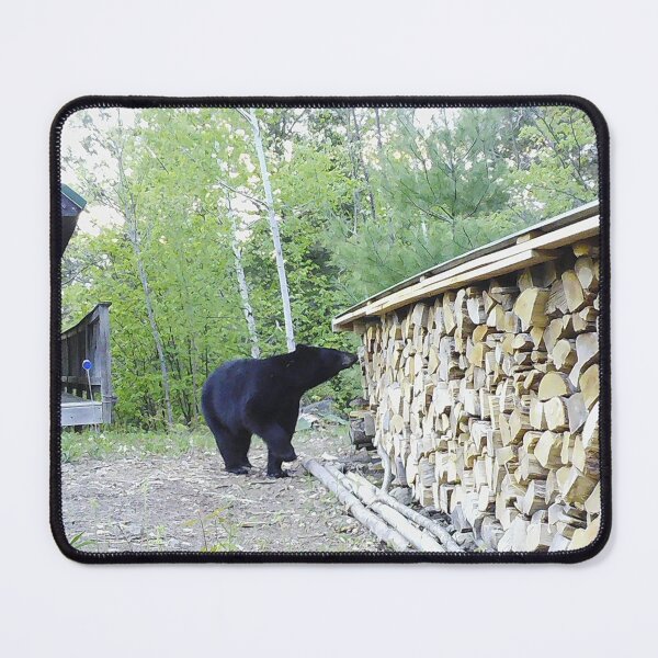 Item preview, Black Bear visits the Cabin in Maine designed and sold by toolsmith.