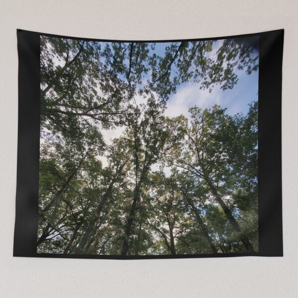 Item preview, Looking Up designed and sold by SarahVGarrett.