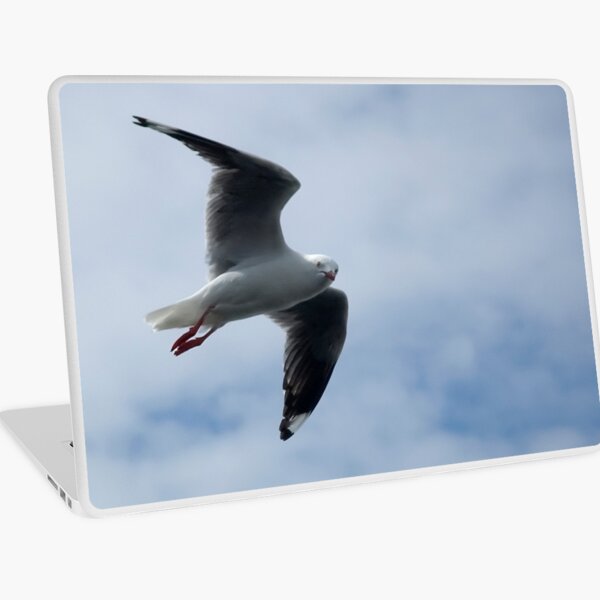 Bird's Eye View Laptop Skin