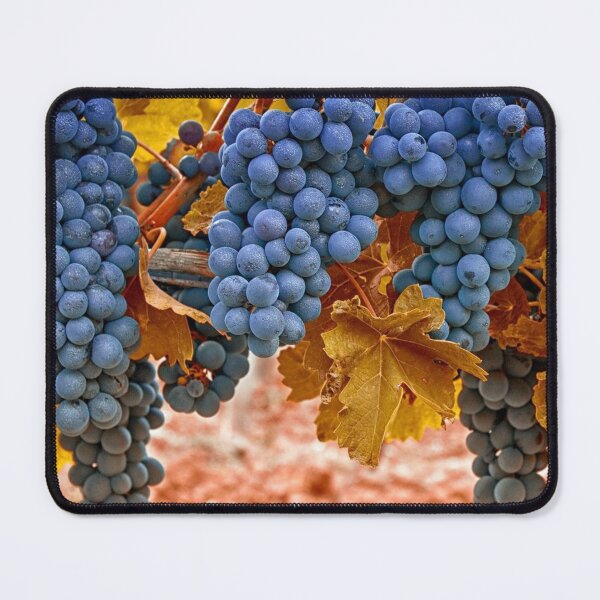 Item preview, Grapes wallpaper designed and sold by Doninni.