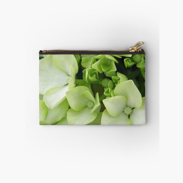 Item preview, Big Daddy Hydrangea Before Color Sets In designed and sold by jenndes.