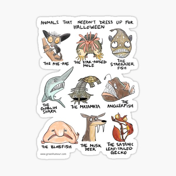 Halloween animals Sticker