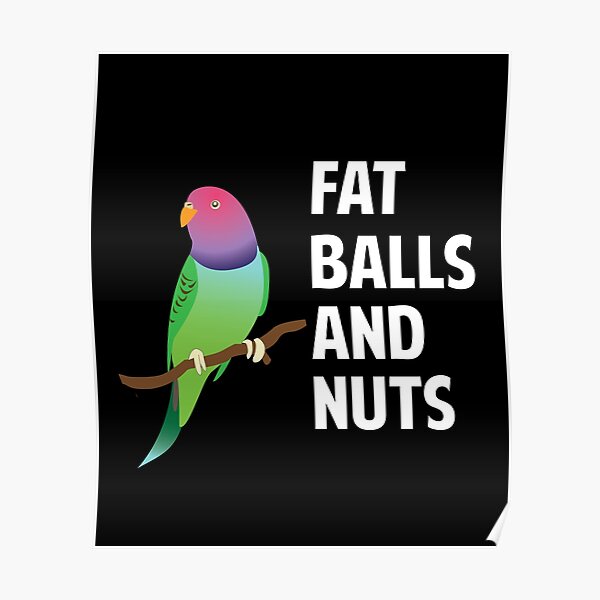 "Fat Balls and Nuts Cute Budgie Lover Budgerigar Parakeet " Poster for
