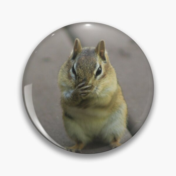 Item preview, Eastern Chipmunk With Little Paws designed and sold by Hazel Hall.