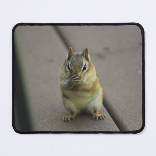Item preview, Eastern Chipmunk With Little Paws designed and sold by Hazel Hall.