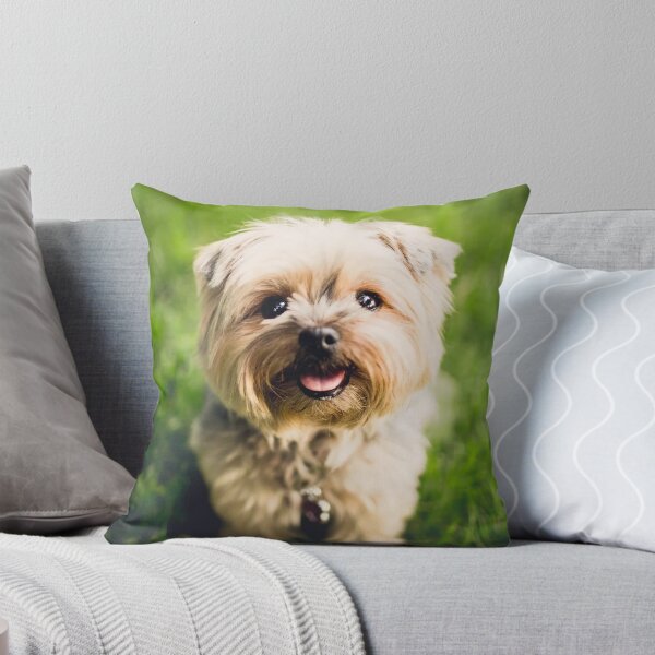 Item preview, Cute Dog designed and sold by cabgodfrey.