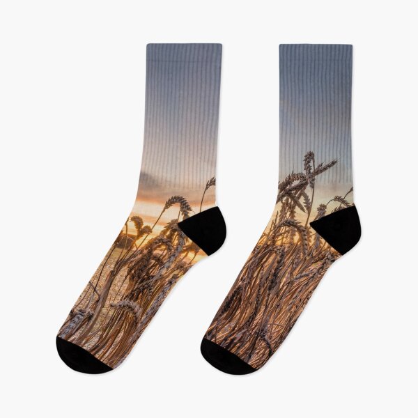 Item preview, Golden Sunset designed and sold by JEZ22.