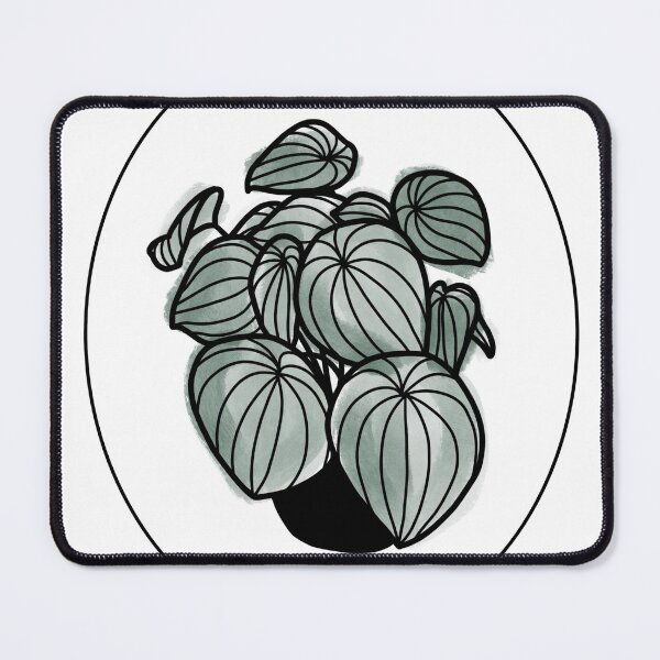 Item preview, Green Watermelon Peperomia Houseplant Line Drawing designed and sold by makesbymiss.