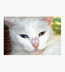 Beautiful companion Photographic Print