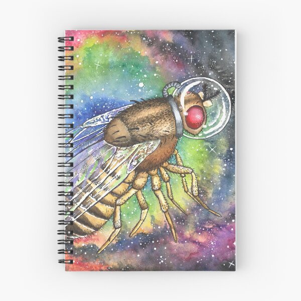 Item preview, Drosophila Fruit Fly in Space (#6 in series) designed and sold by Kelley-Art.