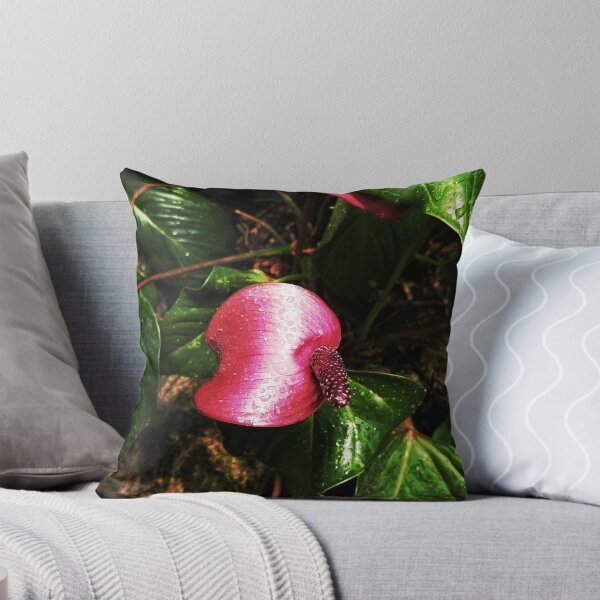 Item preview, Anthurium Andraeanu designed and sold by JuneLove.