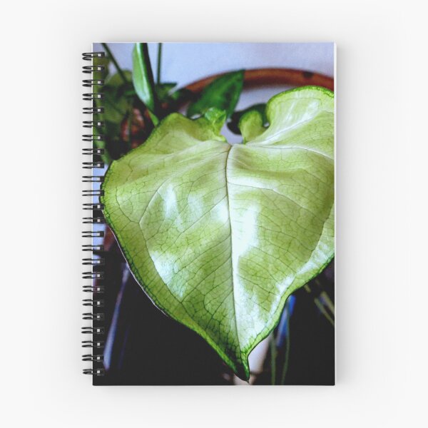 Item preview, Home Grown designed and sold by Diane Arndt.