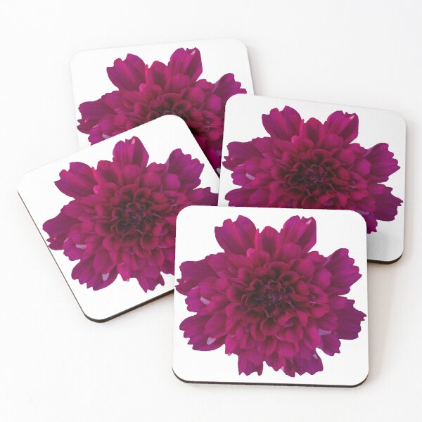 Item preview, Pink Cosmos Flower Still Life Floral Photography designed and sold by CottoVerdi.