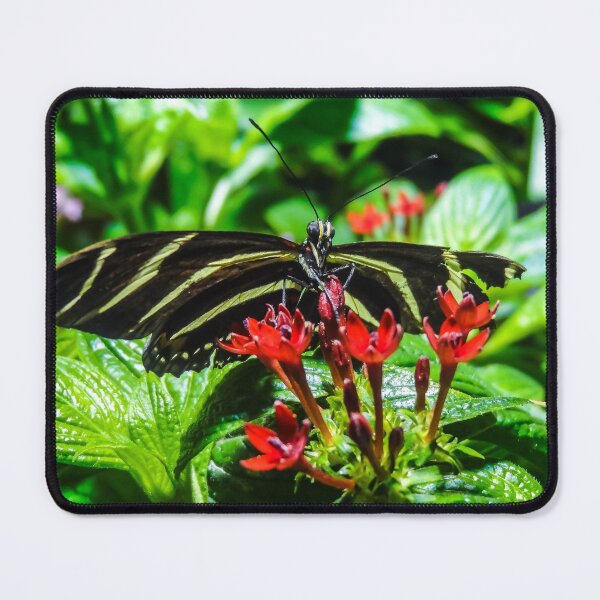 Item preview, Butterfly Photo with Red Florals Leafy Greenery designed and sold by lesrubadesigns.