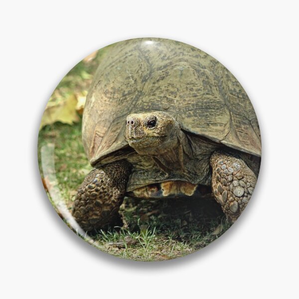 Item preview, Giant Turtle Walking Portrait designed and sold by worldways.